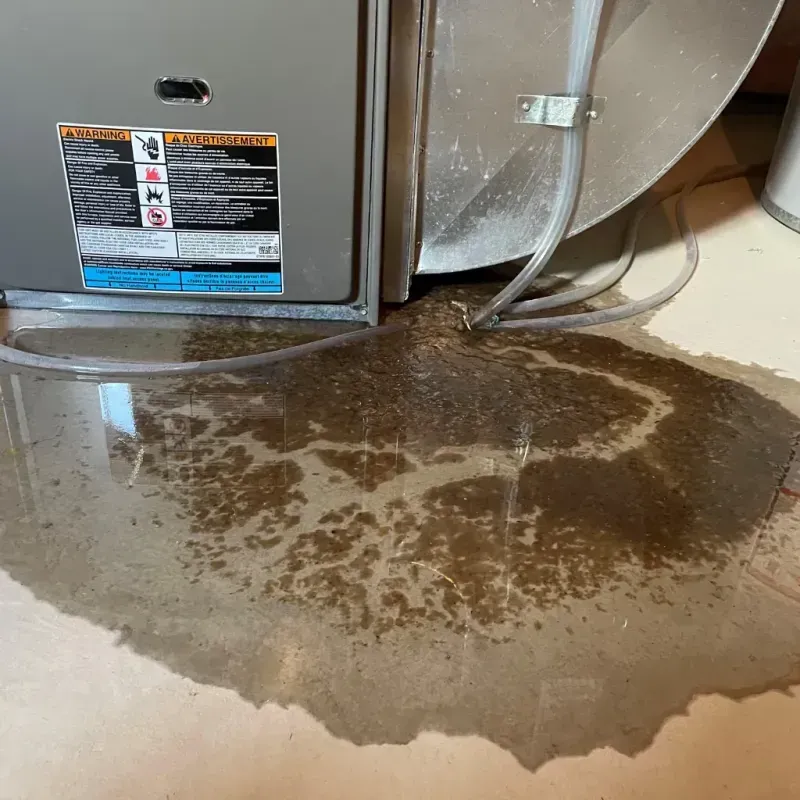 Appliance Leak Cleanup in Teaticket, MA